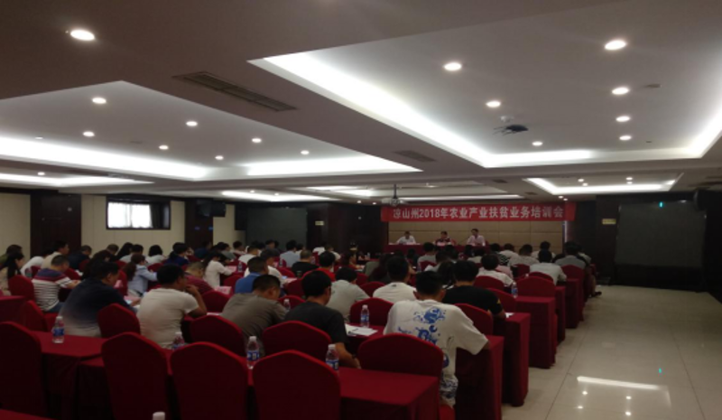 图片1 图片1